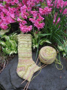 rivendells long shot