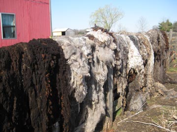 fleece on fence 1