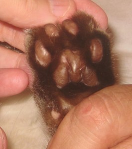 left front september 1