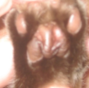 right front september 1 02